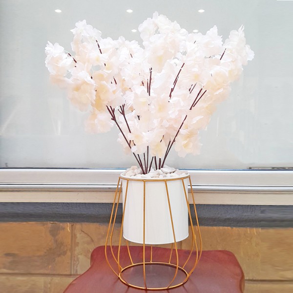 White & Peach Blossom