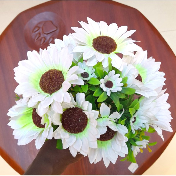 White Sunflower