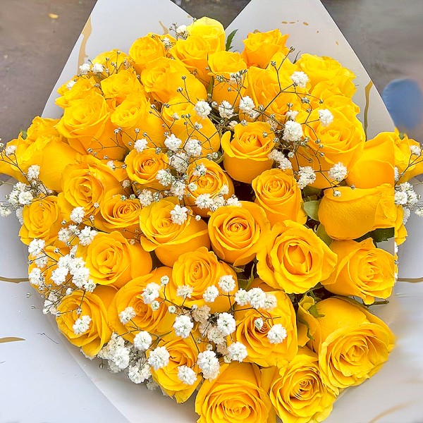 Yellow Roses