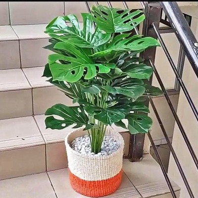 Green Artificial Plants